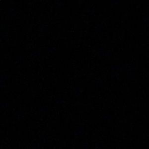 Meet your Posher, Lili